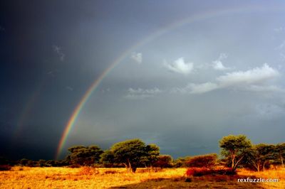 Kang Rainbow