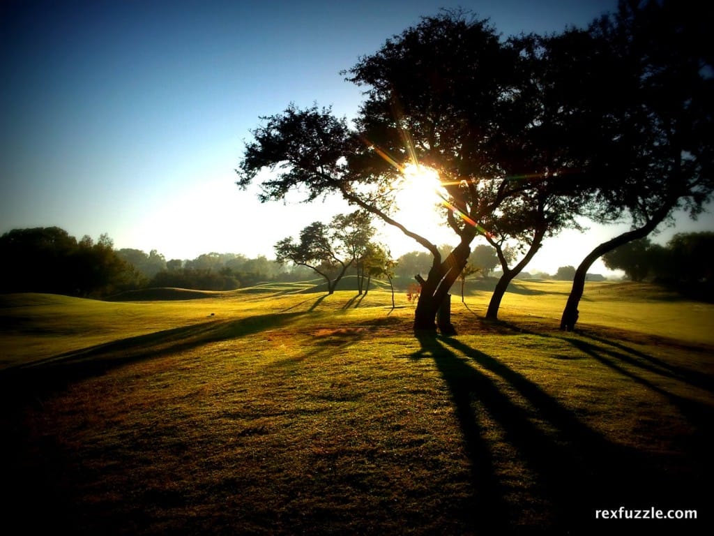 Morning Golf